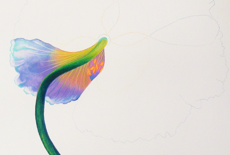 Products  Icarus Art Drawing Board: Fresh new look at wax based mediums!